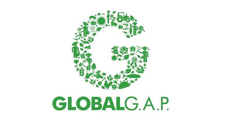 Certificacion global gap