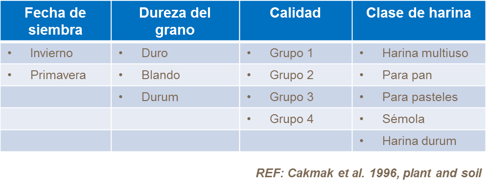 Clasificación de trigo